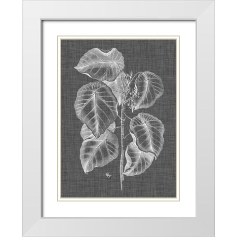 Graphic Foliage IV White Modern Wood Framed Art Print with Double Matting by Vision Studio