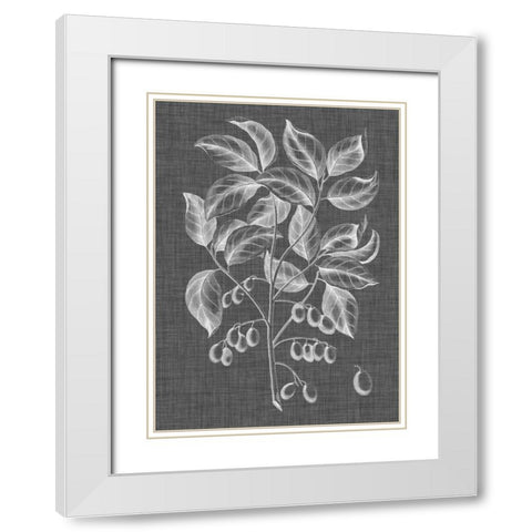 Graphic Foliage V White Modern Wood Framed Art Print with Double Matting by Vision Studio