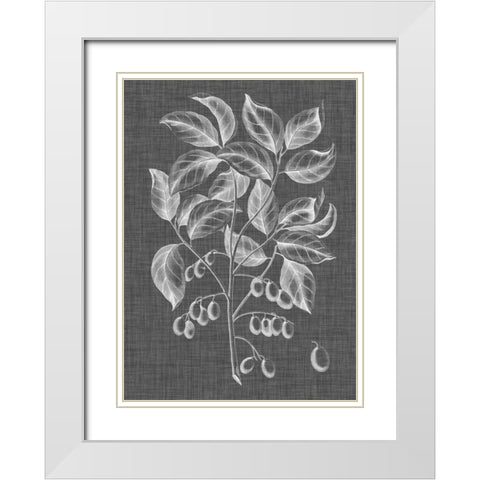 Graphic Foliage V White Modern Wood Framed Art Print with Double Matting by Vision Studio