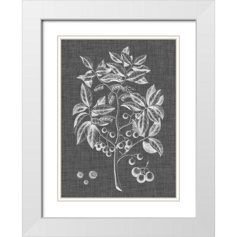 Graphic Foliage VI White Modern Wood Framed Art Print with Double Matting by Vision Studio