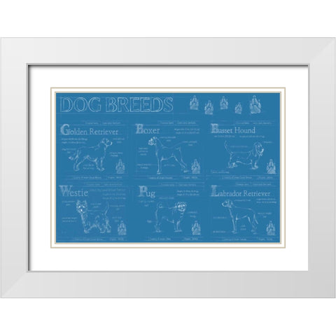 Dog Breeds Infograph White Modern Wood Framed Art Print with Double Matting by Harper, Ethan