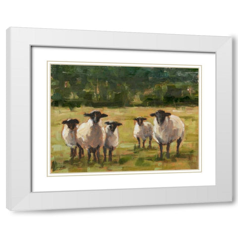 Sheep Family I White Modern Wood Framed Art Print with Double Matting by Harper, Ethan