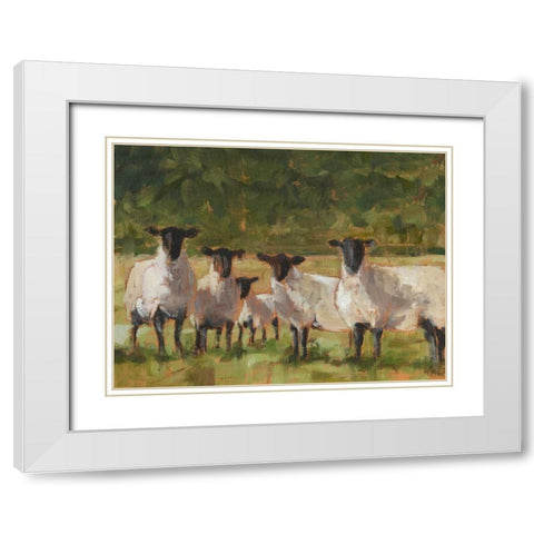 Sheep Family II White Modern Wood Framed Art Print with Double Matting by Harper, Ethan