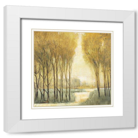 Pathway Sanctuary White Modern Wood Framed Art Print with Double Matting by OToole, Tim