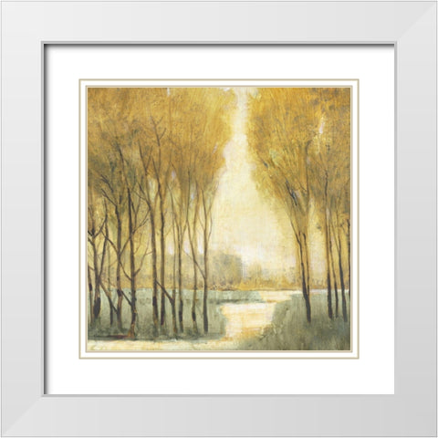 Pathway Sanctuary White Modern Wood Framed Art Print with Double Matting by OToole, Tim