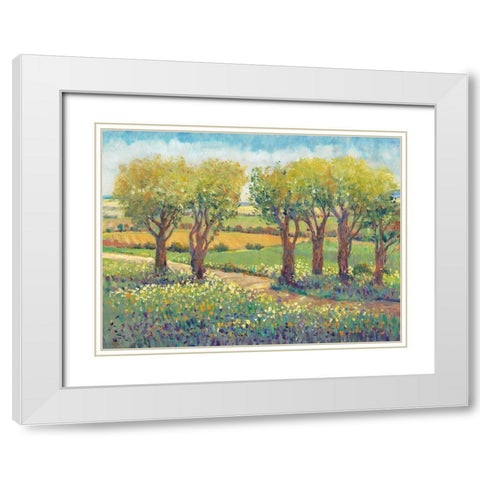 Garden Path I White Modern Wood Framed Art Print with Double Matting by OToole, Tim