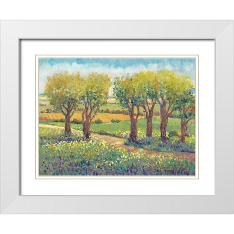 Garden Path I White Modern Wood Framed Art Print with Double Matting by OToole, Tim
