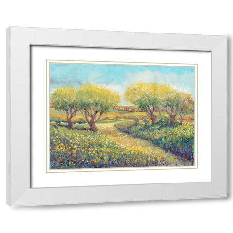Garden Path II White Modern Wood Framed Art Print with Double Matting by OToole, Tim