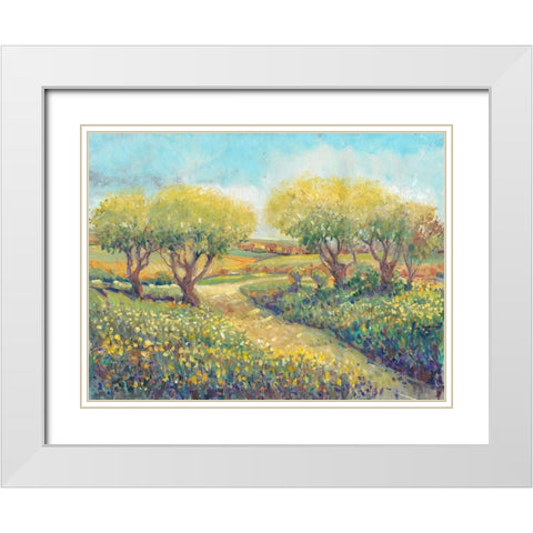 Garden Path II White Modern Wood Framed Art Print with Double Matting by OToole, Tim