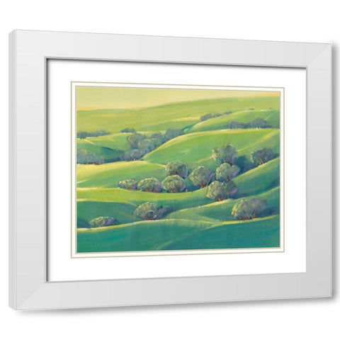 Hillside View I White Modern Wood Framed Art Print with Double Matting by OToole, Tim