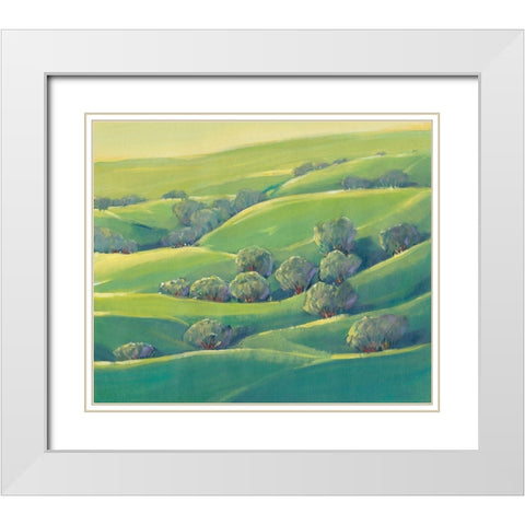Hillside View I White Modern Wood Framed Art Print with Double Matting by OToole, Tim