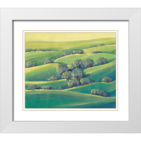 Hillside View II White Modern Wood Framed Art Print with Double Matting by OToole, Tim