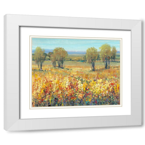 Golden Fields II White Modern Wood Framed Art Print with Double Matting by OToole, Tim