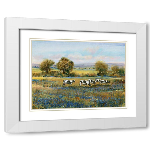 Field of Cattle I White Modern Wood Framed Art Print with Double Matting by OToole, Tim