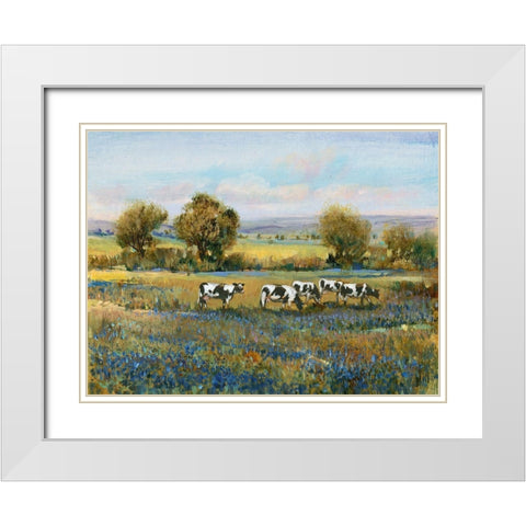 Field of Cattle I White Modern Wood Framed Art Print with Double Matting by OToole, Tim