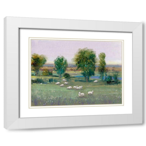 Field of Sheep I White Modern Wood Framed Art Print with Double Matting by OToole, Tim