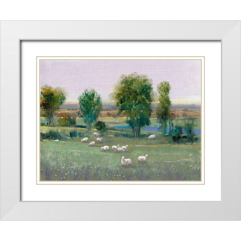 Field of Sheep I White Modern Wood Framed Art Print with Double Matting by OToole, Tim