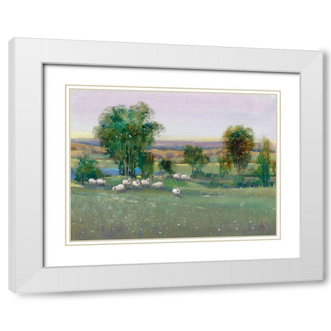 Field of Sheep II White Modern Wood Framed Art Print with Double Matting by OToole, Tim