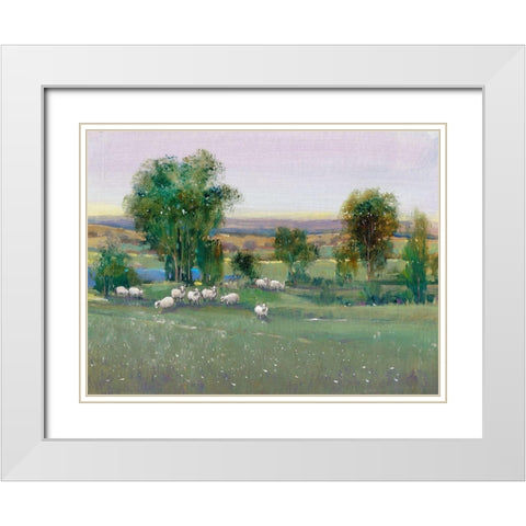 Field of Sheep II White Modern Wood Framed Art Print with Double Matting by OToole, Tim