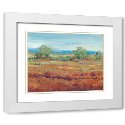 Red Clay II White Modern Wood Framed Art Print with Double Matting by OToole, Tim