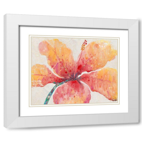 Blooming Hibiscus White Modern Wood Framed Art Print with Double Matting by OToole, Tim