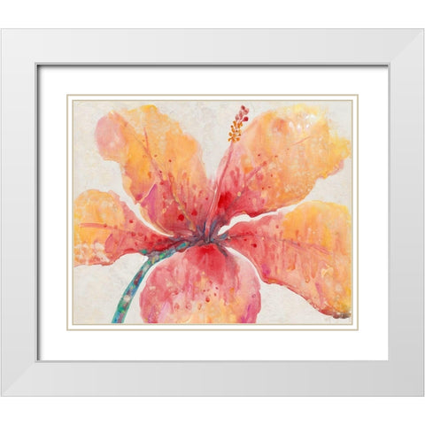 Blooming Hibiscus White Modern Wood Framed Art Print with Double Matting by OToole, Tim