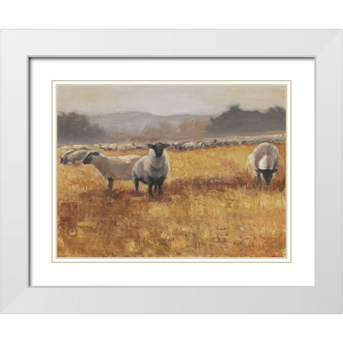 Grazing at Sunset I White Modern Wood Framed Art Print with Double Matting by Harper, Ethan