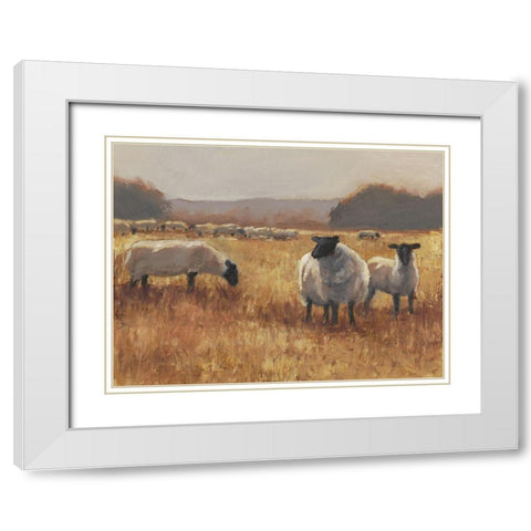 Grazing at Sunset II White Modern Wood Framed Art Print with Double Matting by Harper, Ethan