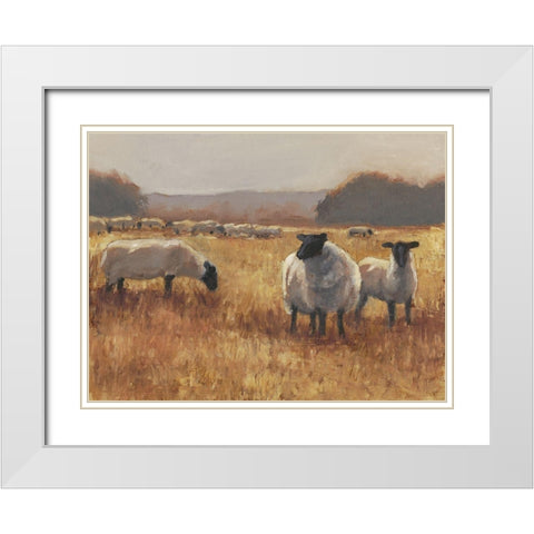 Grazing at Sunset II White Modern Wood Framed Art Print with Double Matting by Harper, Ethan