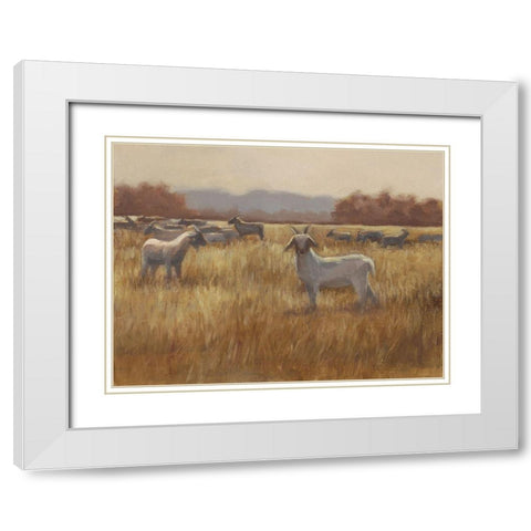 Grazing Goats I White Modern Wood Framed Art Print with Double Matting by Harper, Ethan