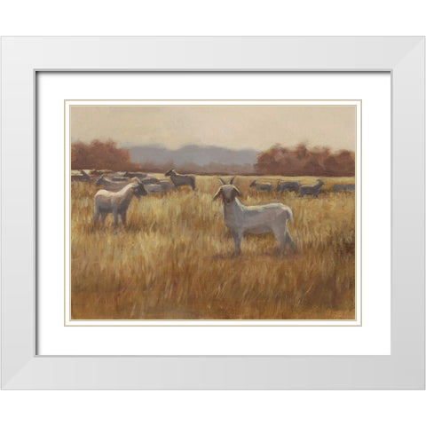 Grazing Goats I White Modern Wood Framed Art Print with Double Matting by Harper, Ethan