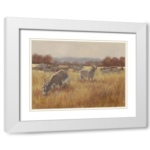 Grazing Goats II White Modern Wood Framed Art Print with Double Matting by Harper, Ethan