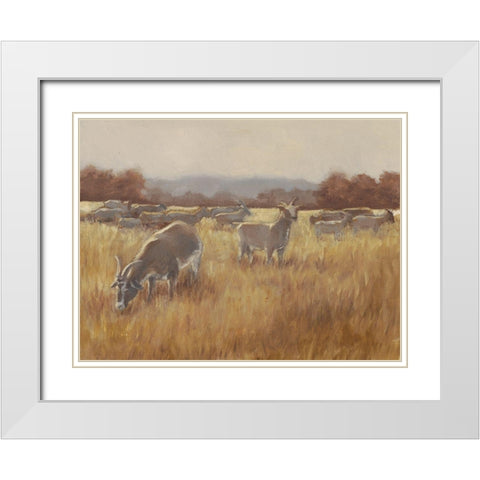Grazing Goats II White Modern Wood Framed Art Print with Double Matting by Harper, Ethan