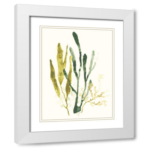 Kelp Collection I White Modern Wood Framed Art Print with Double Matting by Vess, June Erica