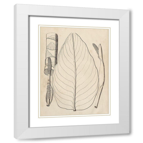 Distinctive Leaves III White Modern Wood Framed Art Print with Double Matting by Vision Studio