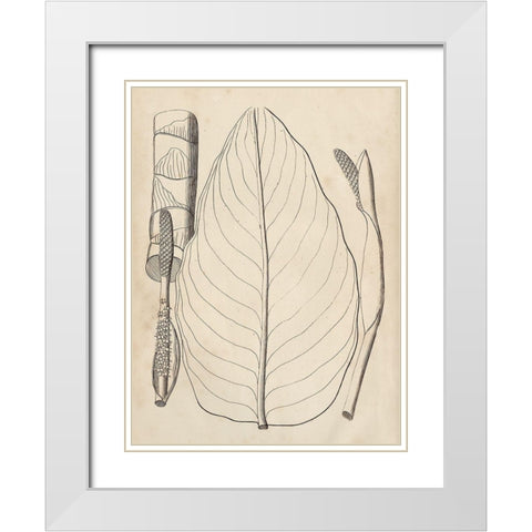Distinctive Leaves III White Modern Wood Framed Art Print with Double Matting by Vision Studio