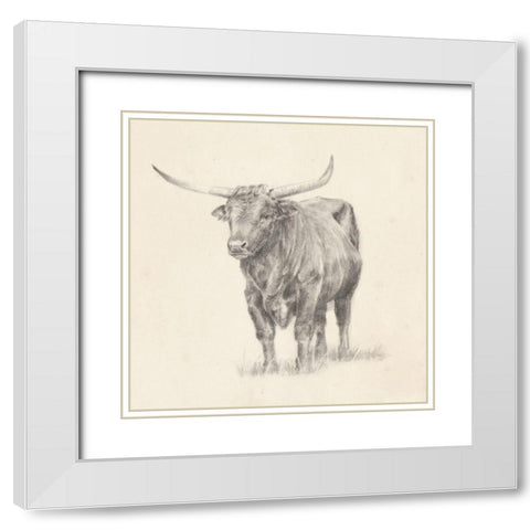 Longhorn Steer Sketch I White Modern Wood Framed Art Print with Double Matting by Harper, Ethan