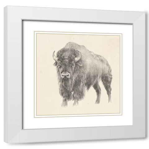 Western Bison Study White Modern Wood Framed Art Print with Double Matting by Harper, Ethan