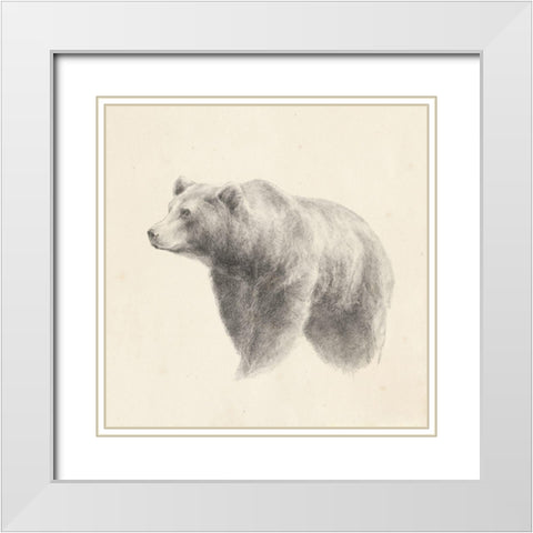 Western Bear Study White Modern Wood Framed Art Print with Double Matting by Harper, Ethan