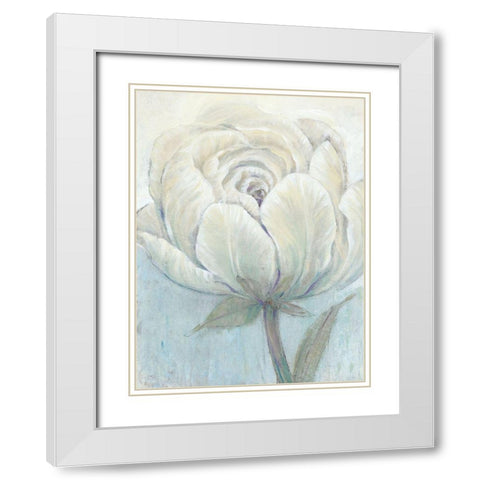 English Rose I White Modern Wood Framed Art Print with Double Matting by OToole, Tim