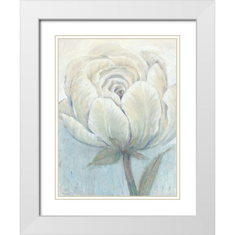 English Rose I White Modern Wood Framed Art Print with Double Matting by OToole, Tim