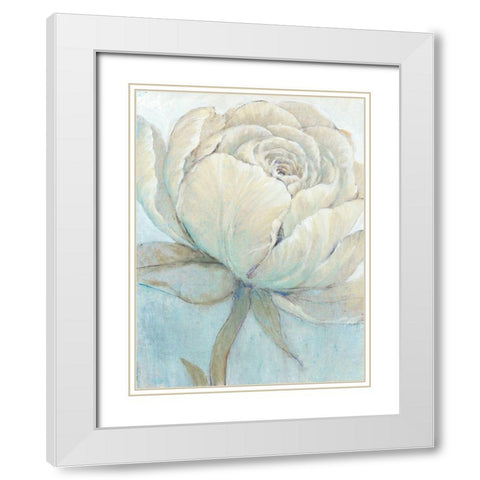 English Rose II White Modern Wood Framed Art Print with Double Matting by OToole, Tim