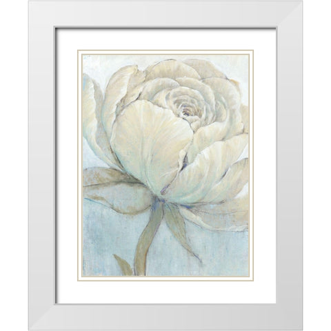 English Rose II White Modern Wood Framed Art Print with Double Matting by OToole, Tim