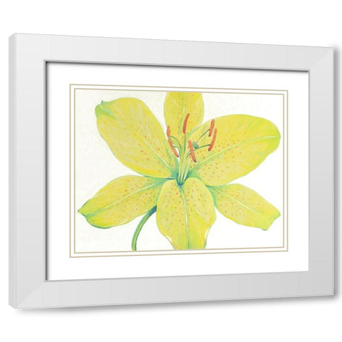 Citron Tiger Lily I White Modern Wood Framed Art Print with Double Matting by OToole, Tim