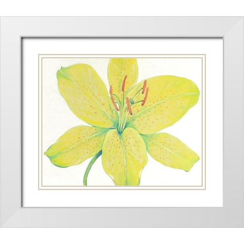 Citron Tiger Lily I White Modern Wood Framed Art Print with Double Matting by OToole, Tim