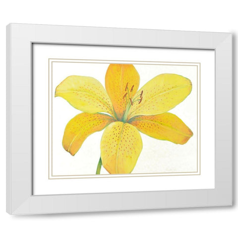 Citron Tiger Lily II White Modern Wood Framed Art Print with Double Matting by OToole, Tim