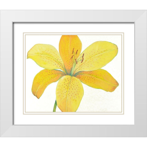 Citron Tiger Lily II White Modern Wood Framed Art Print with Double Matting by OToole, Tim