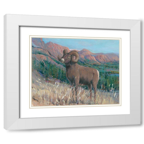 Animals of the West IV White Modern Wood Framed Art Print with Double Matting by OToole, Tim
