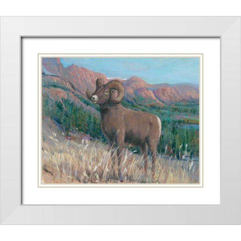 Animals of the West IV White Modern Wood Framed Art Print with Double Matting by OToole, Tim