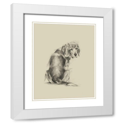 Puppy Dog Eyes I White Modern Wood Framed Art Print with Double Matting by Harper, Ethan